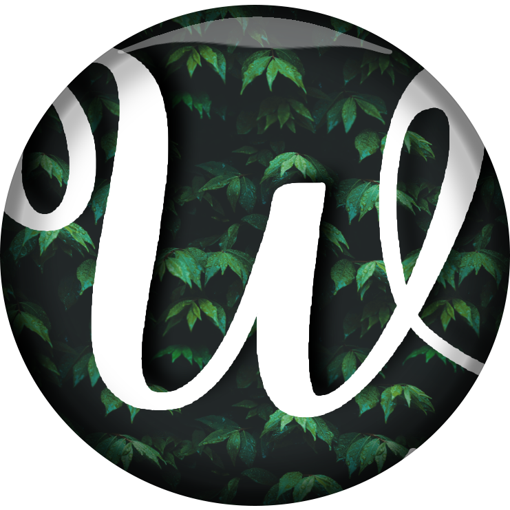 Wege AE work